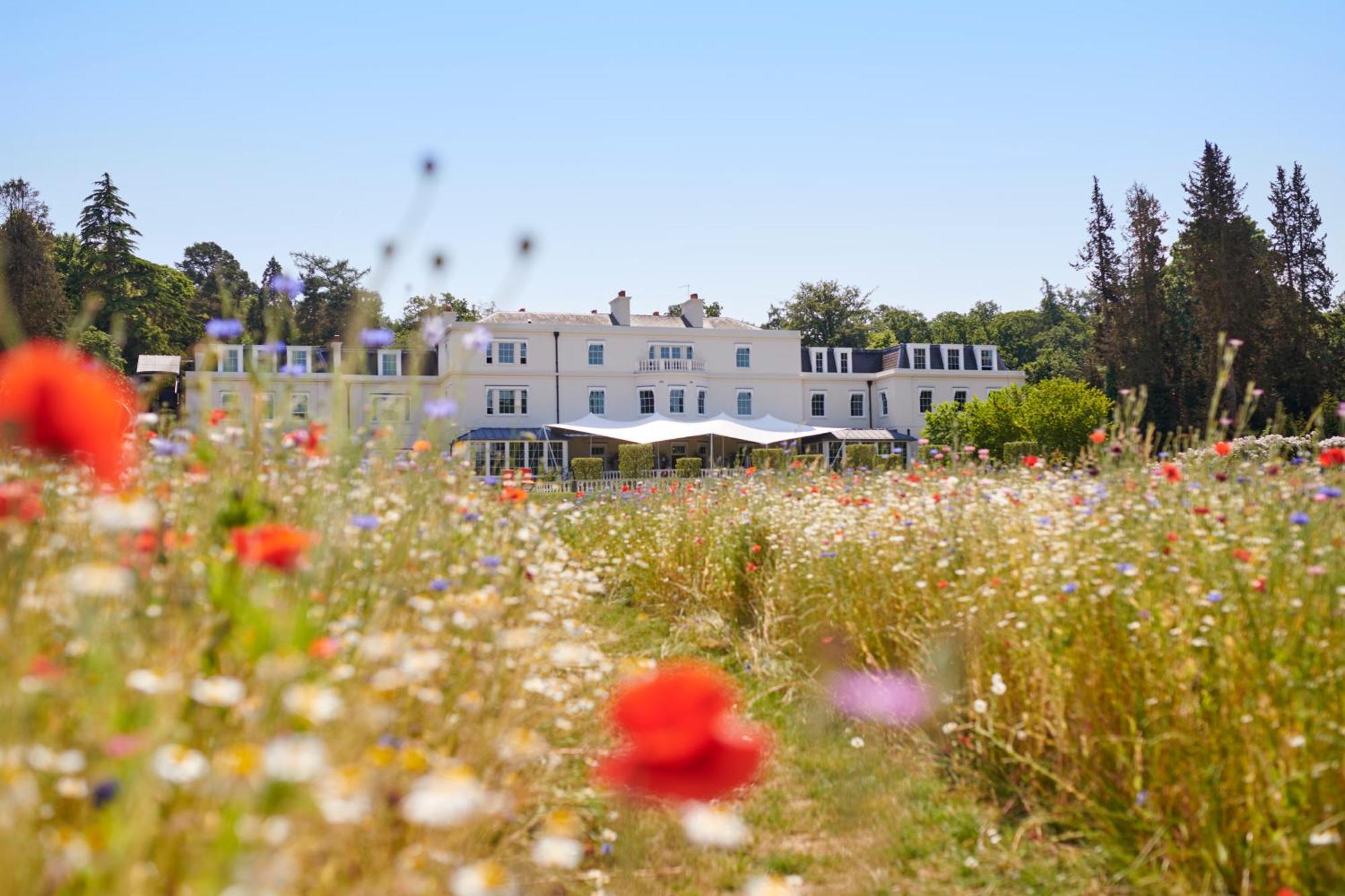 Coworth Park - Dorchester Collection Аскът Екстериор снимка